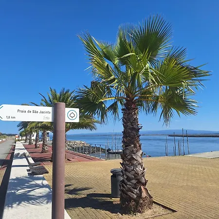 Close To The Ria De Aveiro, Sao Jacinto Apartment