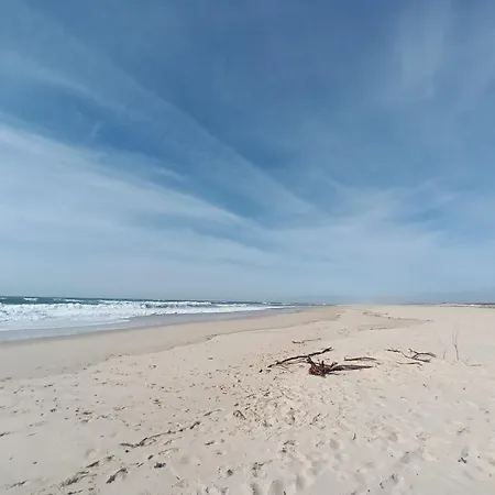 Close To The Ria De Aveiro, Sao Jacinto *