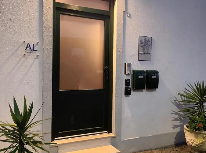 Close To The Ria De Aveiro, Sao Jacinto