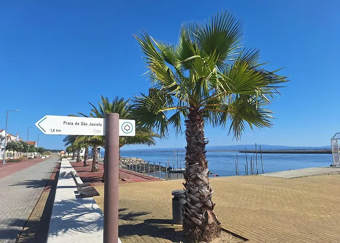 Close To The Ria De Aveiro, Sao Jacinto Apartment