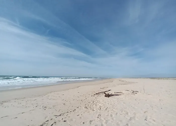 Close To The Ria De Aveiro, Sao Jacinto *